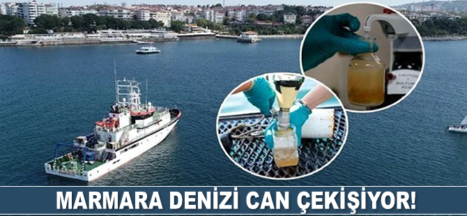 TÜBİTAK gemisi Marmara'ya açıldı! Korkutucu sonuç: Tükenme seviyesinde