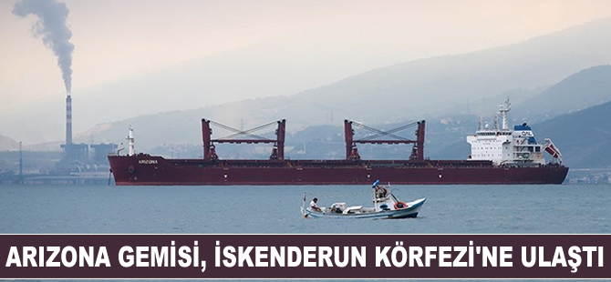 'Arizona' gemisi İskenderun Körfezi'ne ulaştı