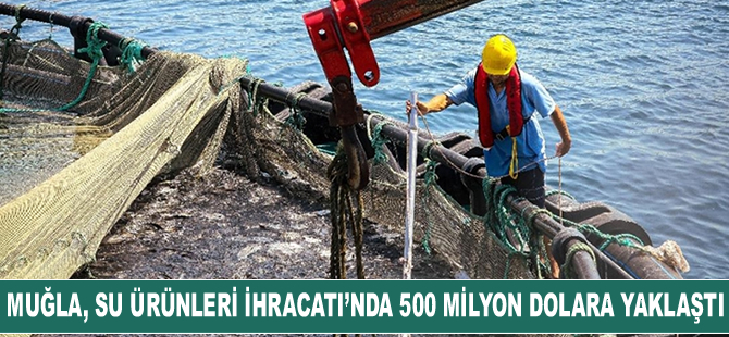 Muğla’da su ürünleri ihracatı 500 milyon doları aştı