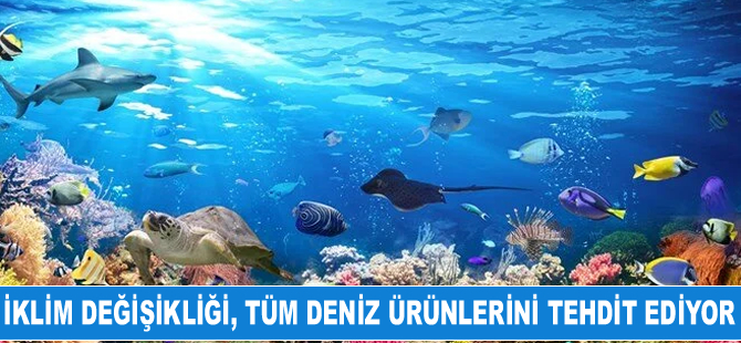 İklim değişikliği, tüm deniz türlerini tehdit ediyor