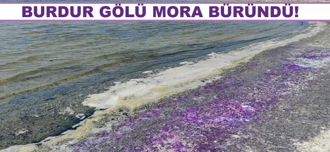 Burdur Gölü sahili bu kez mor renge büründü