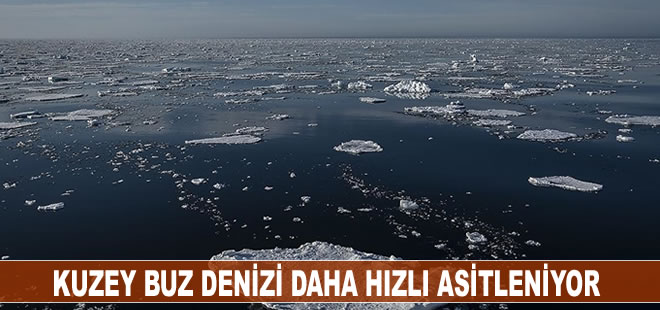 Kuzey Buz Denizi, diğer okyanuslardan 3 ila 4 kat daha hızlı asitleniyor