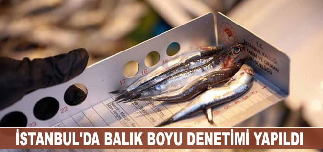 İstanbul'da balık boyu denetimi yapıldı