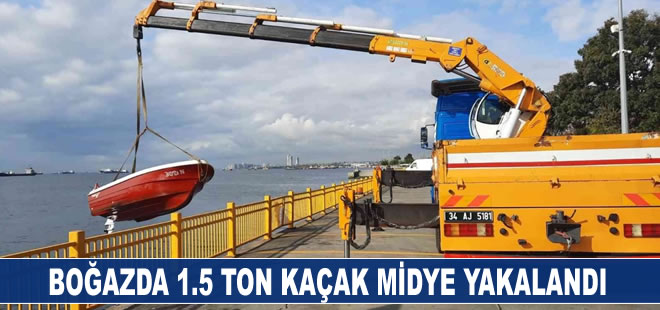 İstanbul Boğazı'nda 1,5 ton kaçak midye yakalandı