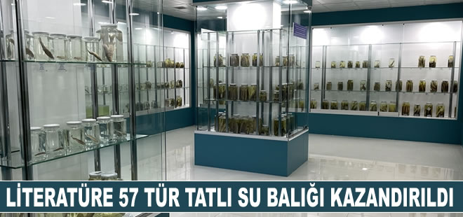 Literatüre 15 yılda 57 tür ve 2 cins tatlı su balığını kazandırdılar