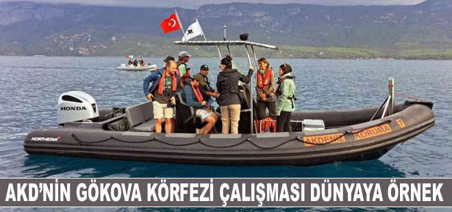 Akdeniz Koruma Derneği'nin Gökova Körfezi çalışması dünyaya örnek