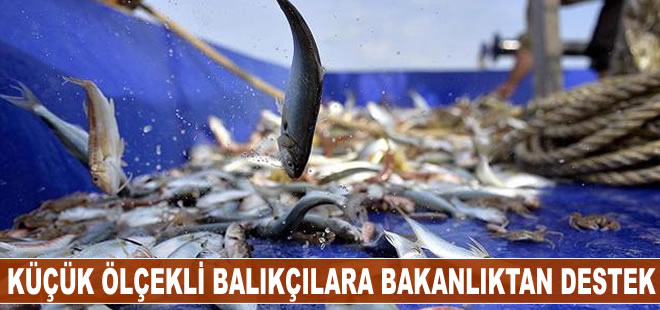 Kıyı balıkçılığı yapan küçük ölçekli balıkçılara destek