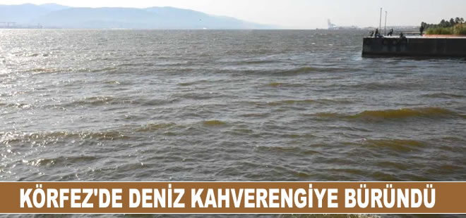 İzmit Körfezi'nde denizin bir kısmı kahverengiye büründü