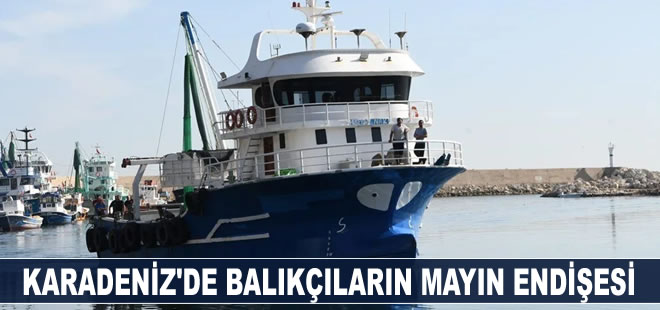 Palamut bolluğu yaşanan Karadeniz'de balıkçıların mayın endişesi