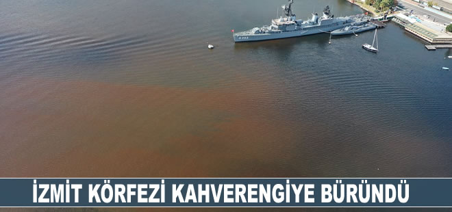 İzmit Körfezi kahverengiye büründü