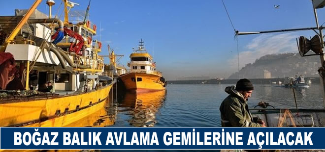 Bakanlıktan tepki çeken karar: İstanbul Boğazı endüstriyel balık avcılığı için kapatılacak