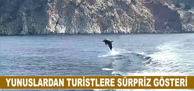 Alanya'da yunuslardan turistlere sürpriz gösteri