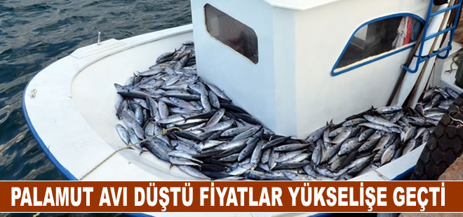 Palamut avı düştü fiyatlar yükselişe geçti