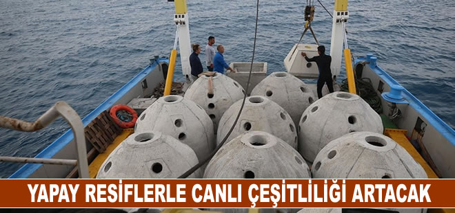 İskenderun Körfezi'ne bırakılan yapay resiflerle canlı çeşitliliği artacak