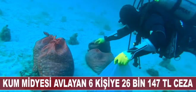 Çanakkale'de kum midyesi avına 26 bin 147 TL ceza kesildi