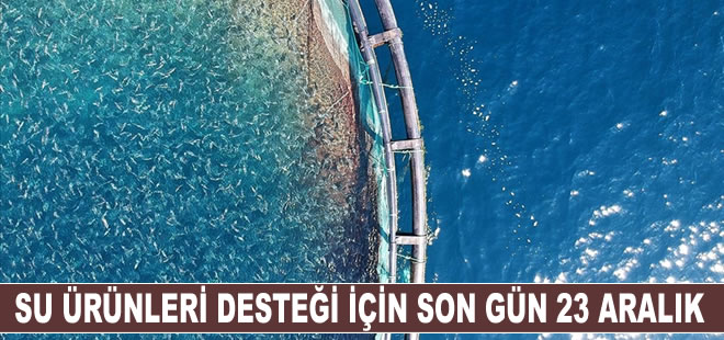 Su ürünleri desteklemesi için üreticiler 23 Aralık'a kadar başvuru yapabilecek