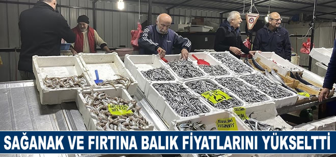 Zonguldak'ta sağanak ve fırtına balık fiyatlarını yükseltti