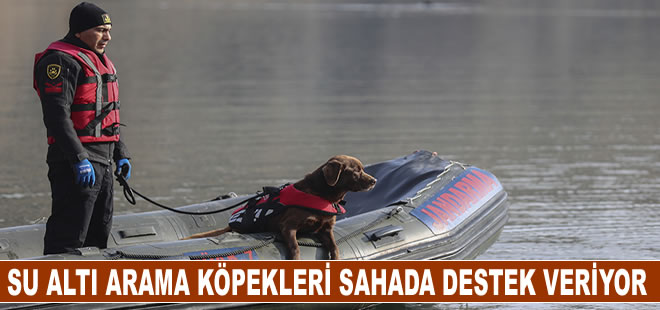 Jandarmanın su altı arama köpekleri, derindeki kayıp cesetlerin yerini tespit ediyor