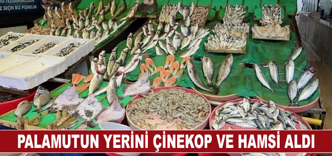 Balık tezgahlarında palamutun yerini çinekop ve hamsi aldı