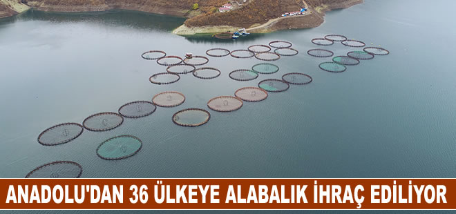 Anadolu'daki barajlarda yetiştirilen alabalıklar 36 ülkeye ihraç ediliyor