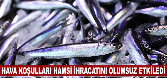 Hava koşulları hamsi ihracatını olumsuz etkiledi