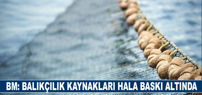 BM: Akdeniz ve Karadeniz'de aşırı avlanma azalsa da balıkçılık kaynakları hala baskı altında