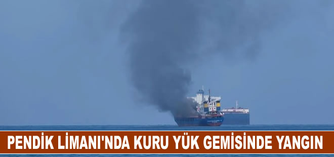 Pendik Limanı'nda kuru yük gemisinde yangın