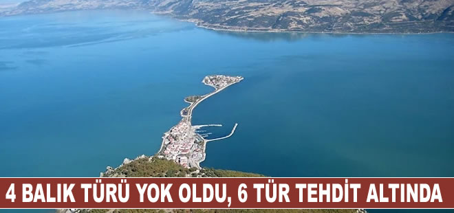 Eğirdir Gölü’nde ekokırım: 4 balık türü yok oldu, 6 tür tehdit altında