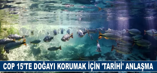 COP 15'te doğayı korumak için 'tarihi' anlaşma