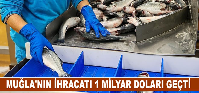 Muğla'nın su ürünleri ihracatı 1 milyar doları geçti