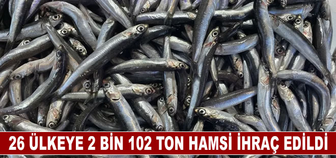 Türkiye'den 2022'de 26 ülkeye 2 bin 102 ton hamsi ihraç edildi