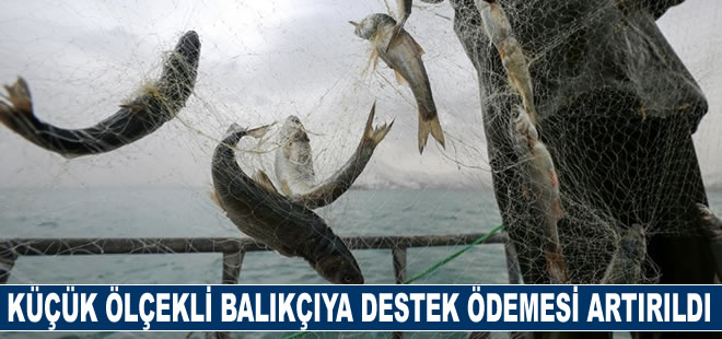 Küçük ölçekli balıkçılara destek ödemeleri artırıldı