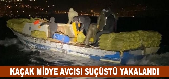 Kaçak midye avcısı deniz polisi tarafından suçüstü yakalandı