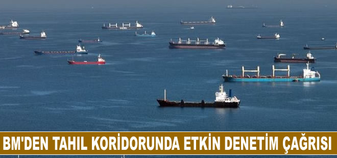 BM'den tahıl koridorunda etkin denetim çağrısı