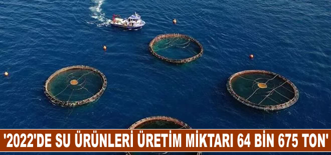 "2022'de su ürünleri üretim miktarı 64 bin 675 ton oldu"