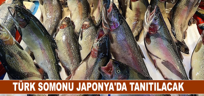 Türk somonu Japonya'da tanıtılacak