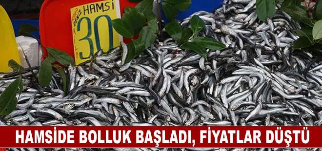 Hamside bolluk başladı, fiyatlar düştü