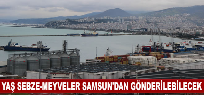 Yaş sebze-meyveler artık Samsun’dan gönderilebilecek