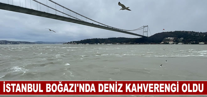 İstanbul Boğazı'nda suyun rengi yağışla kahverengi oldu