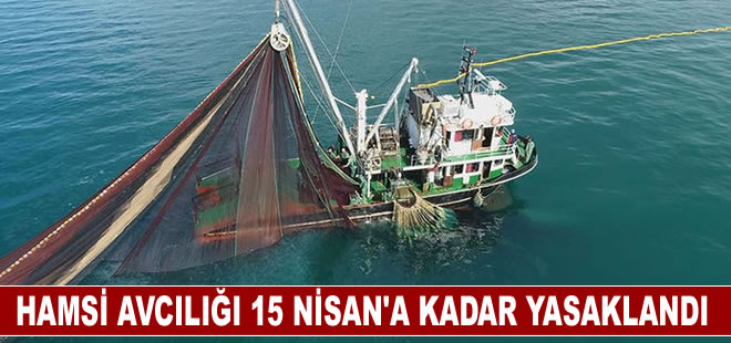 Hamsi avcılığı, Marmara Denizi ile boğazlarda 15 Nisan'a kadar yasaklandı