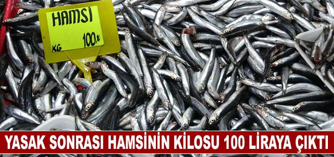 Yasakların ardından irileşen hamsinin kilosu 50 liradan 100 liraya çıktı