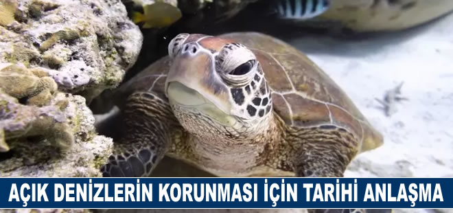 Açık denizlerin korunması konusunda ülkeler tarihi bir anlaşmaya vardı