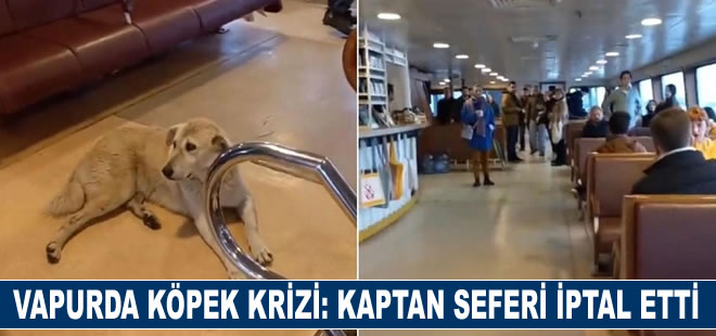 Vapurda köpek krizi: Kaptan seferi iptal etti