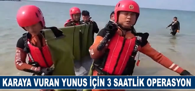 Karaya vuran yunus için 3 saatlik kurtarma operasyonu