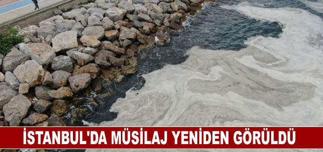 İstanbul’da müsilaj yeniden görüldü