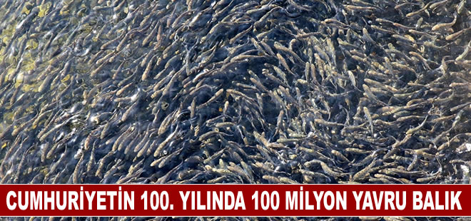 Cumhuriyetin 100. yılında 100 milyon yavru balık kaynaklara bırakılacak