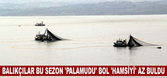 Balıkçılar bu sezon "palamudu" bol "hamsiyi" az buldu