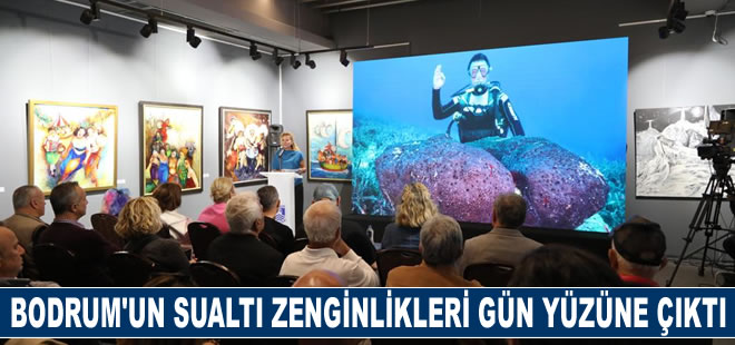 Bodrum’un sualtı zenginlikleri gün yüzüne çıktı