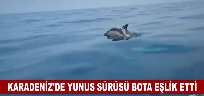 Karadeniz'de yunusların bota eşlik etmesi görüntülendi