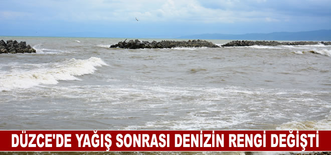 Düzce'de yağış sonrası denizin rengi değişti